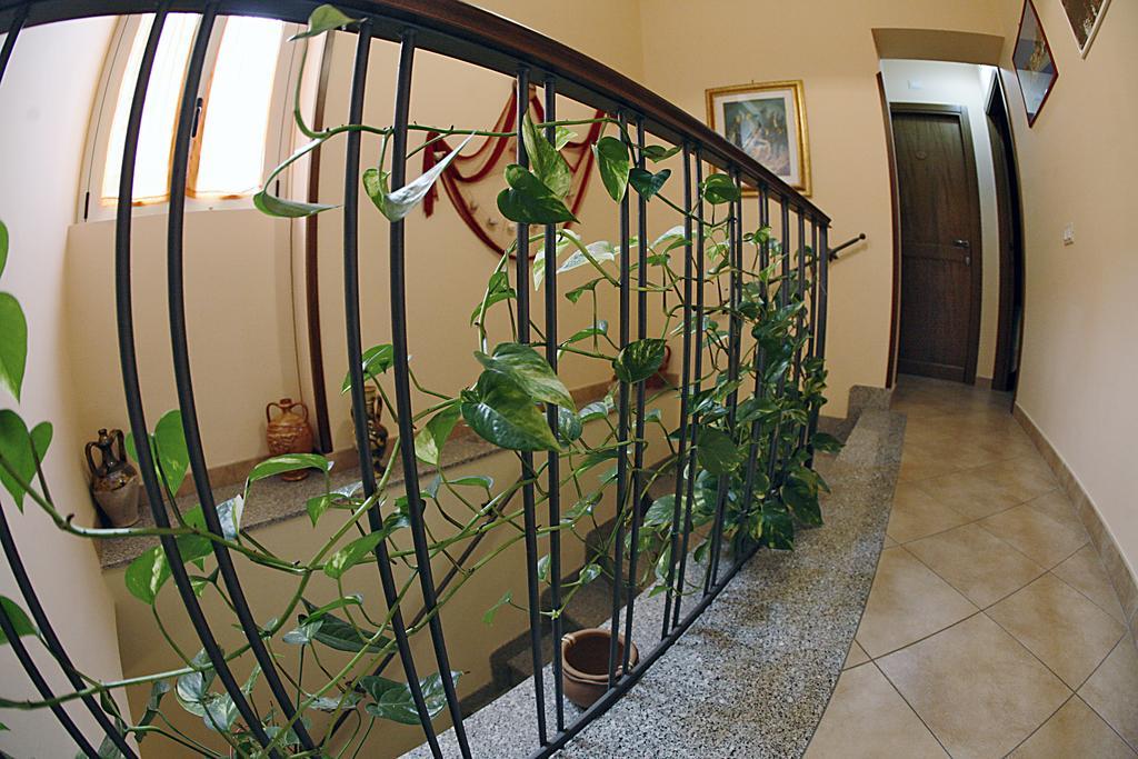 B&B La Filanda Scilla Exteriör bild